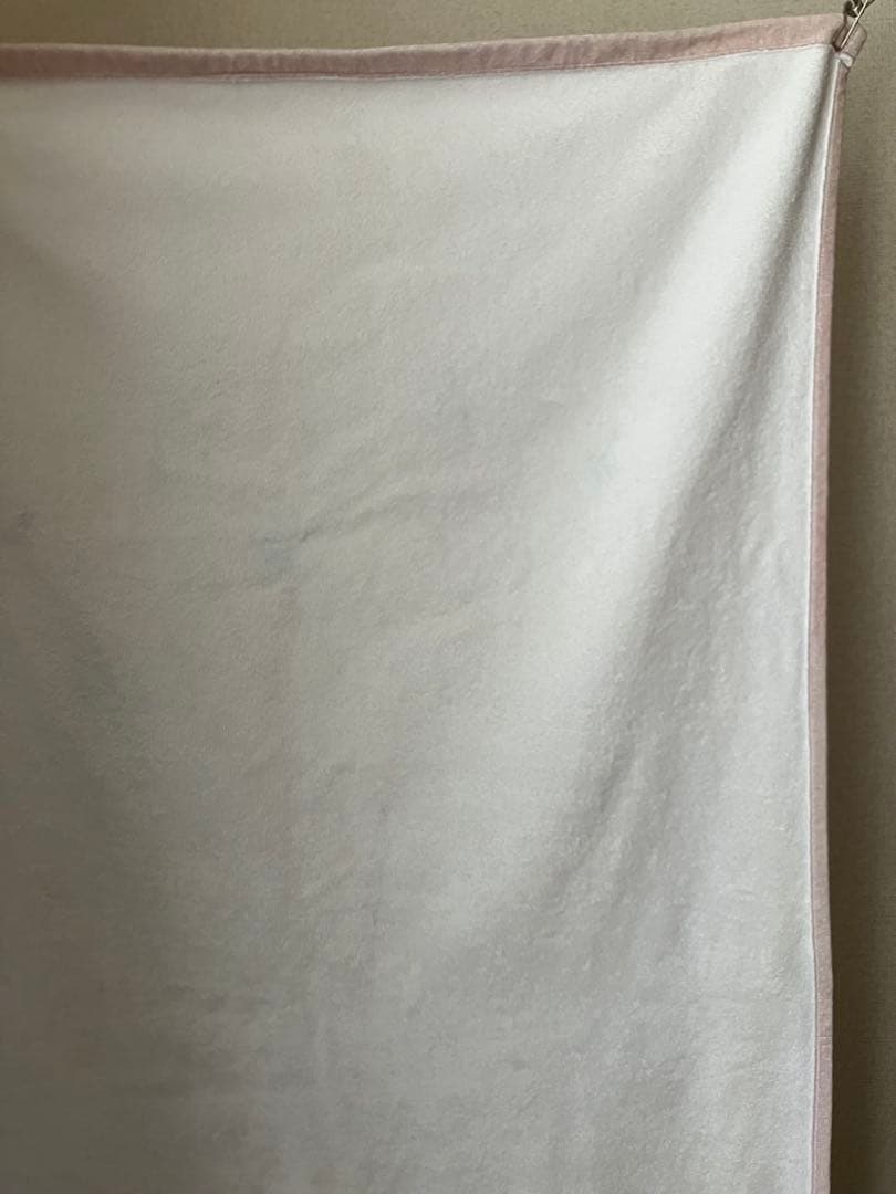 「穏やかな猫タオルケット」カネコアヤノ