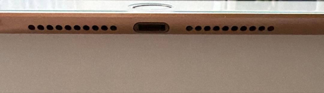 iPad mini Wi-Fi+Cellular 64GB ゴールド