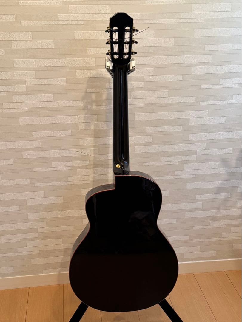 ギター aNueNue/aNN-LN77E