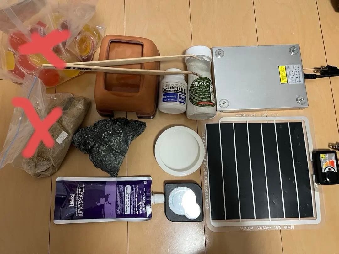 爬虫類　レオパ 飼育セット