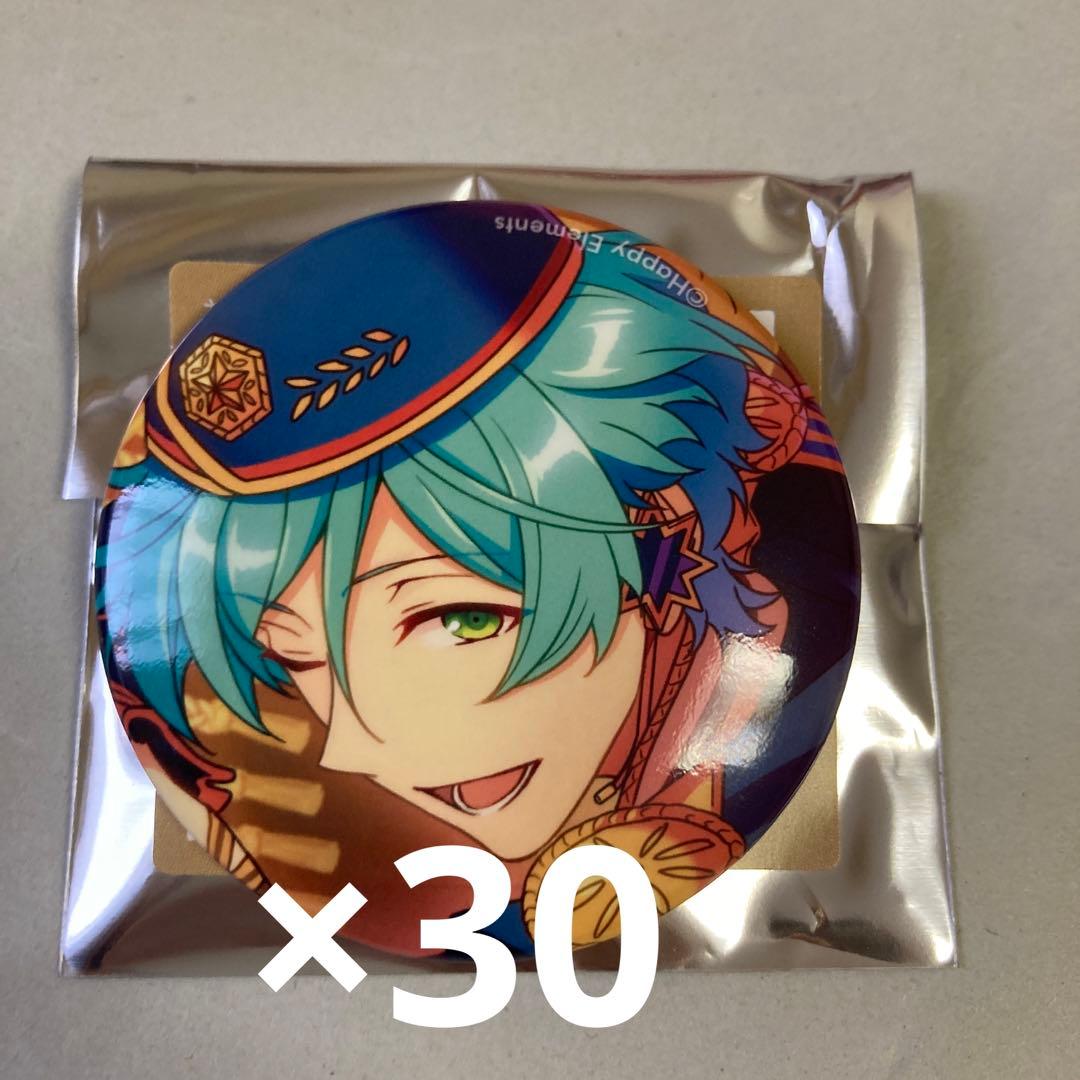 奏汰 エレメント 缶バッジ30点セット