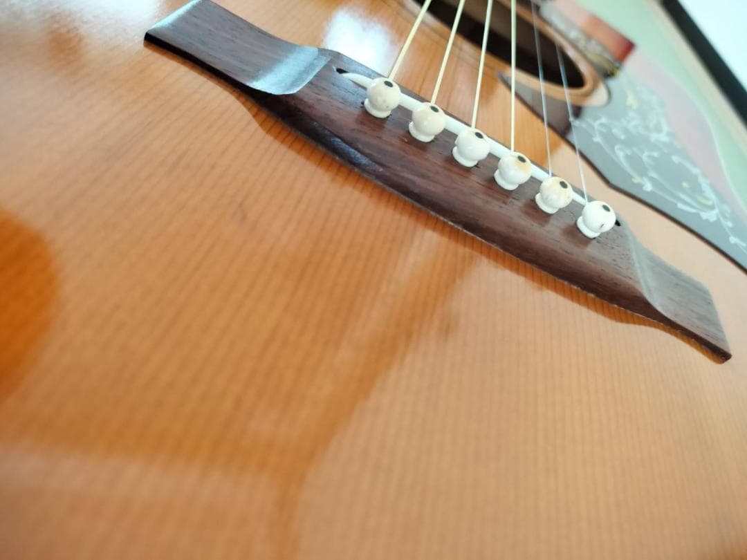 ZEN-ON Roje 170S ハミングバード 70s ジャパンビンテージ