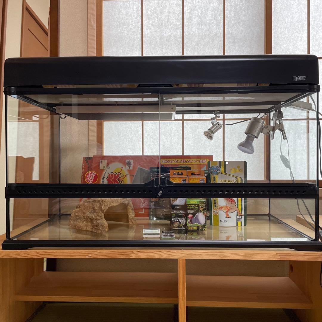 knskさん専用 グラステラリウムは、付属されません。 爬虫類ライト等　一式