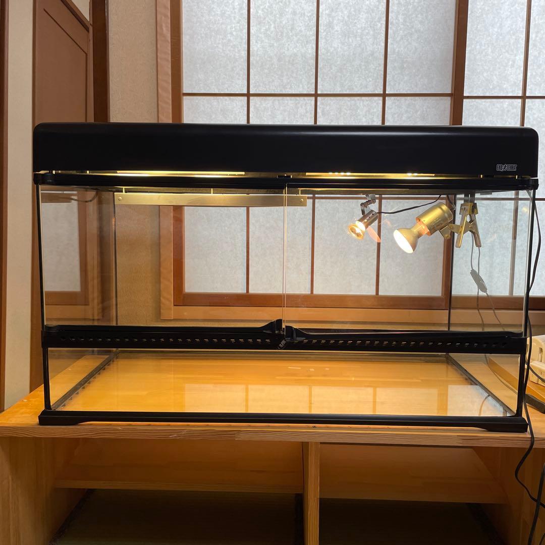 knskさん専用 グラステラリウムは、付属されません。 爬虫類ライト等　一式