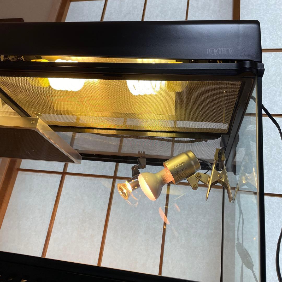 knskさん専用 グラステラリウムは、付属されません。 爬虫類ライト等　一式