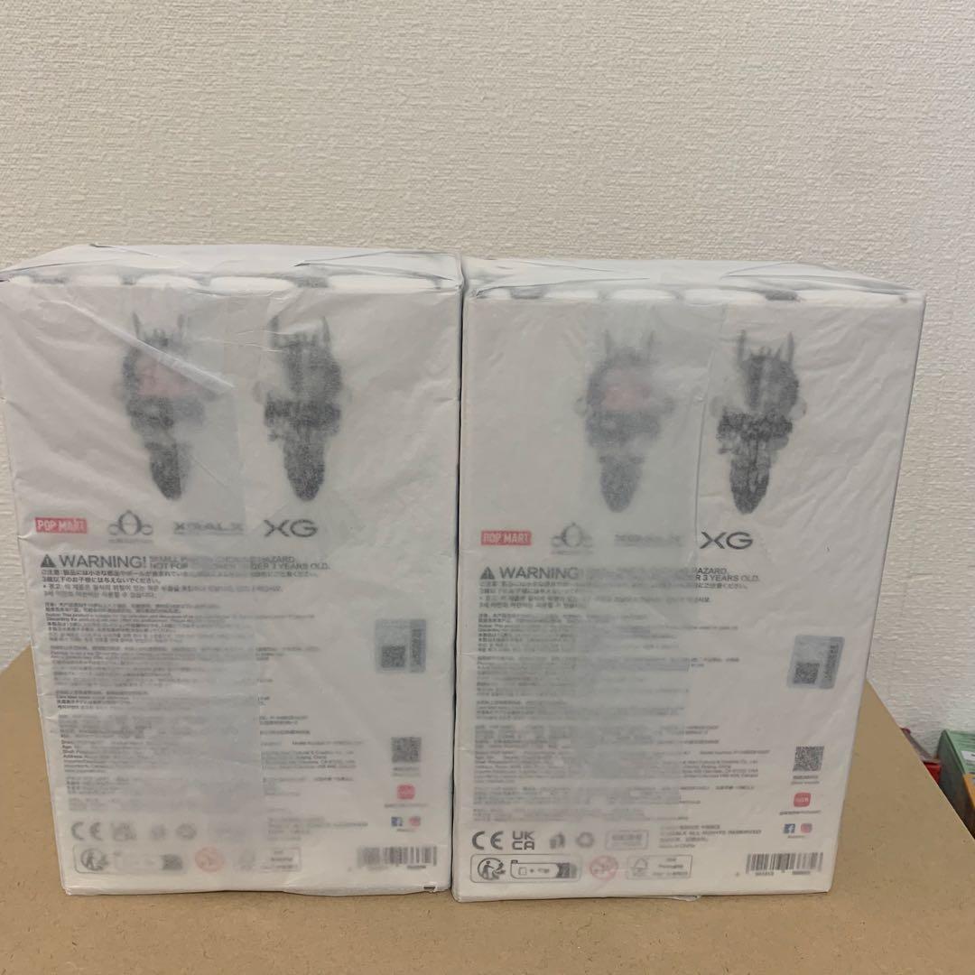 SKULLPANDA XG スカルパンダ　2個セット　ポップマート　xg