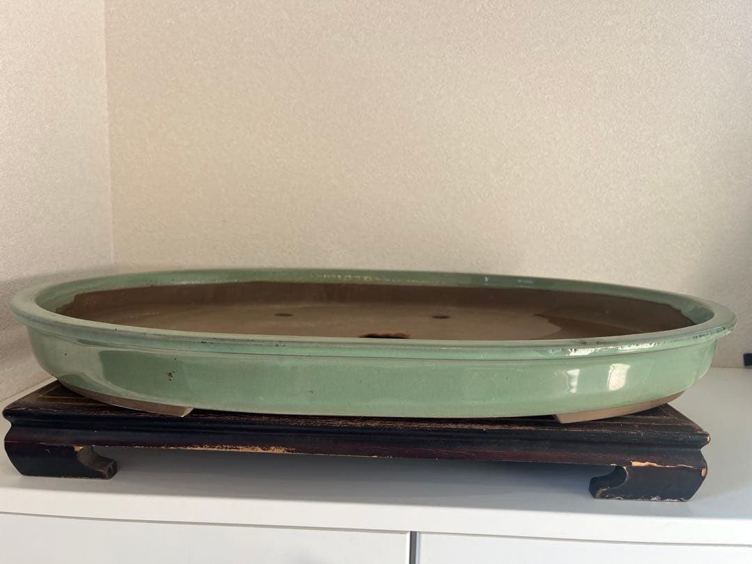 特大　桜陶　落款　緑釉　楕円　盆栽鉢