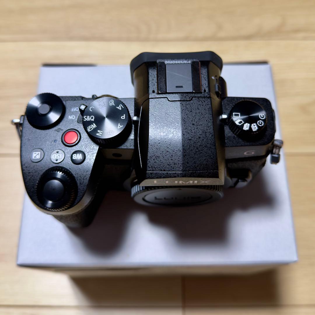 パナソニック LIMIX G99M2 ボディ ブラック DC-G99M2