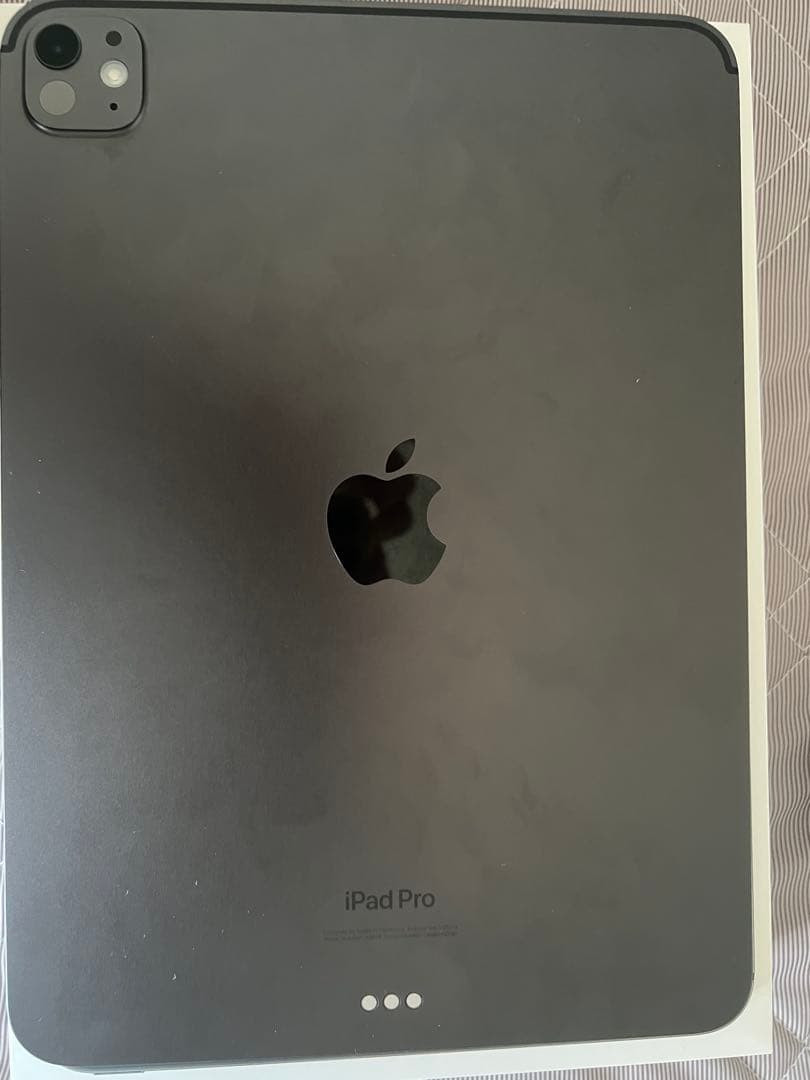 iPad Pro11 インチ第5世代（最新）M4 Wi-Fi 256GB