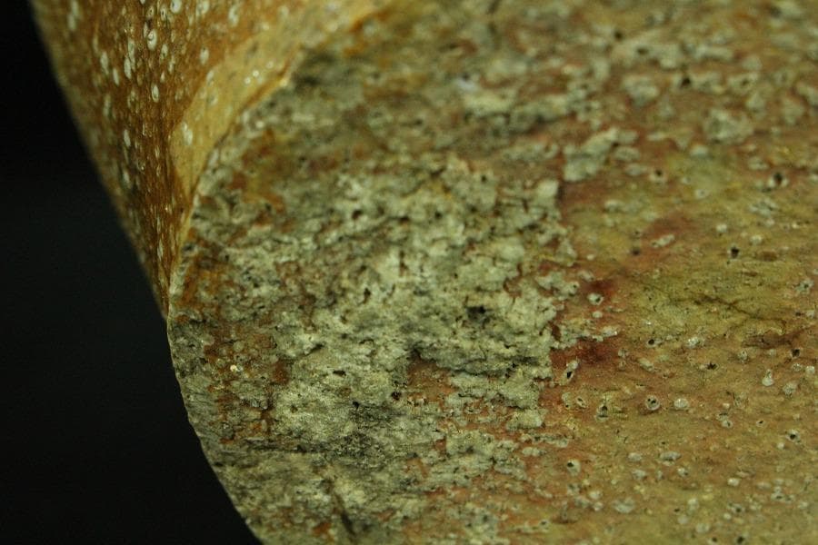 古い 信楽 茶壷 六古窯(K-XA846)