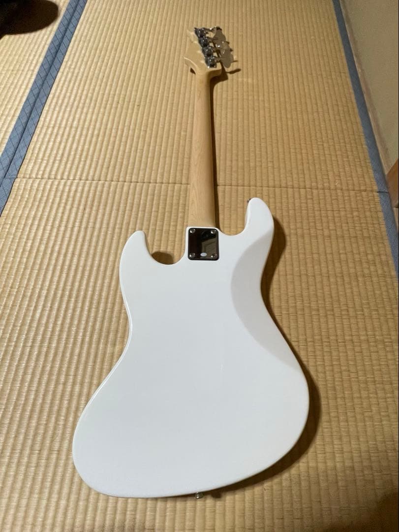 廃盤Bacchus WJB330M SW