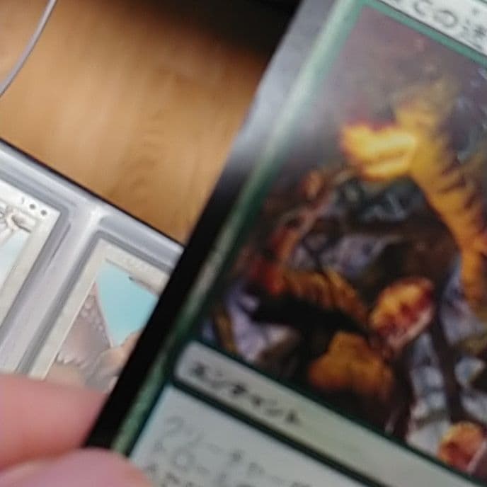 MTG 森での迷子　日本語　エラーカード　foil