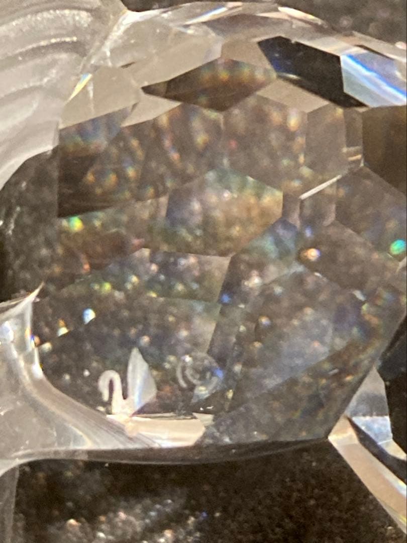 【廃盤品】スワロフスキー　オオカミ