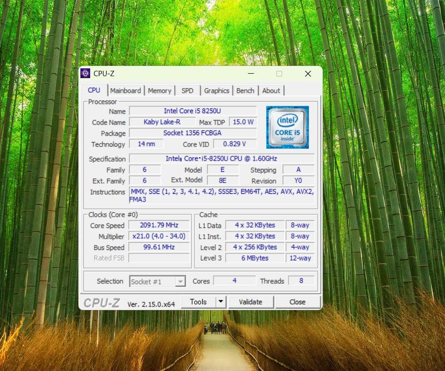 DELL windows11 Vostro15 15.6インチ i5 8世代