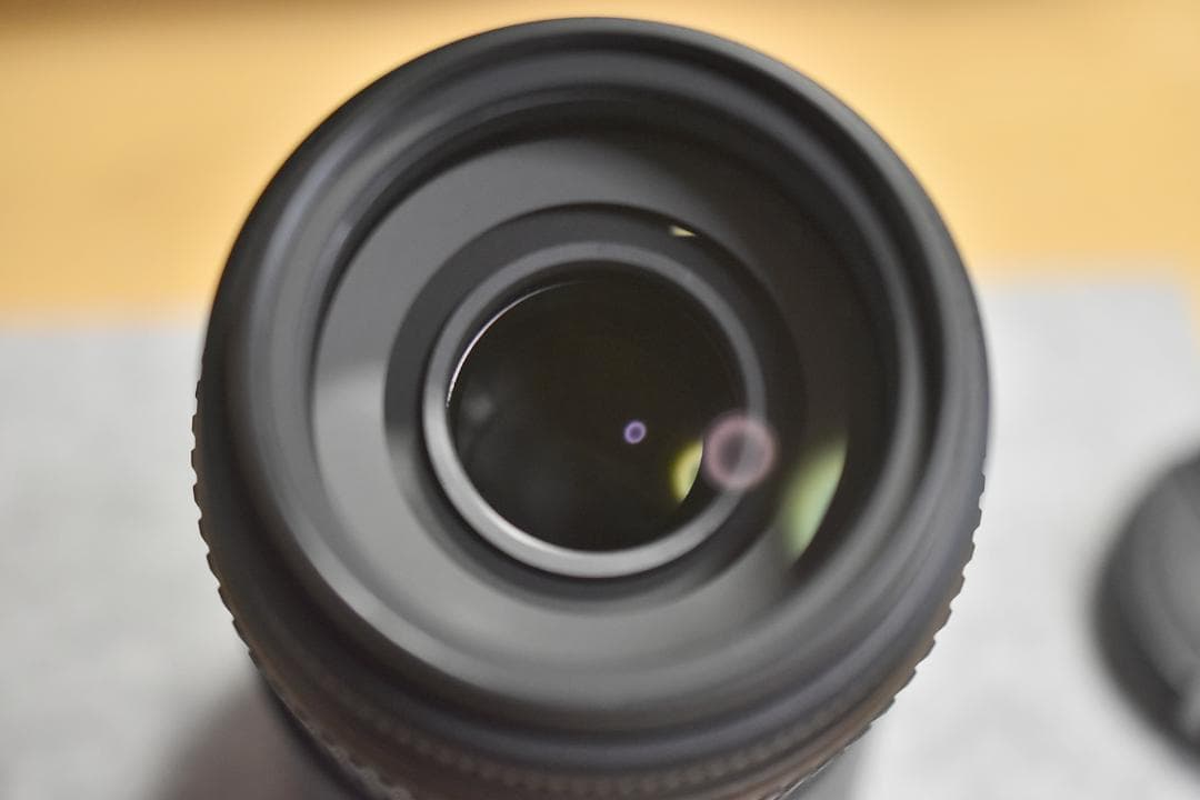 【新品級】AF-S DX NIKKOR 55-300mm f/4.5-5.6G