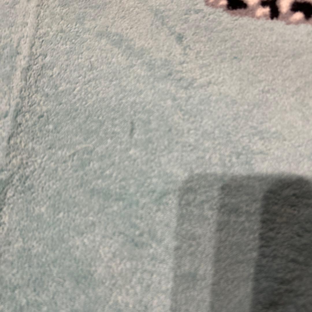 エルメス大判タオルケット