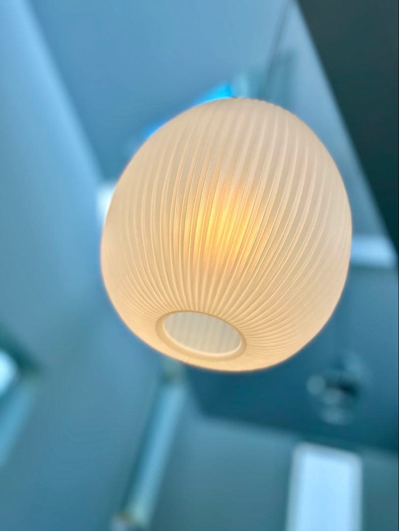 仏70年代　Aloys F. for Erco ヴィンテージ・ペンダントランプ