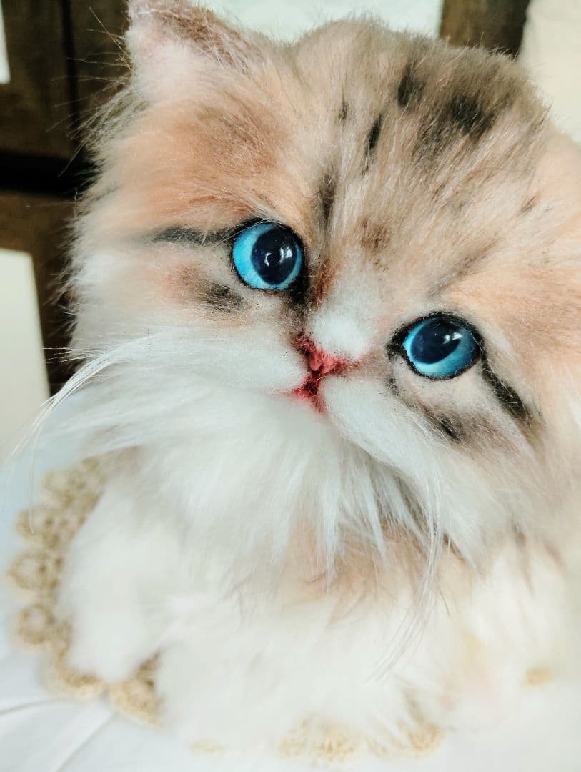 ラピちゃん御予約❤️美人ちゃん❤ブラウンタビーミヌエット子猫ちゃん❤アートドール