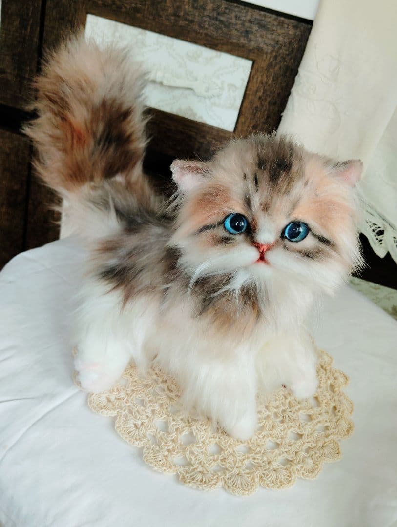 ラピちゃん御予約❤️美人ちゃん❤ブラウンタビーミヌエット子猫ちゃん❤アートドール