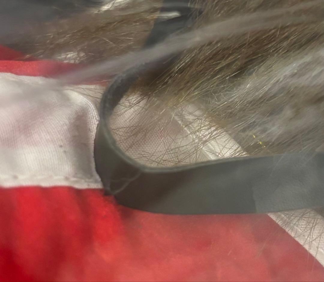 【ノーザンテースト】馬服(希少)／Sサイズ(タグ付き)／アバンティ社製