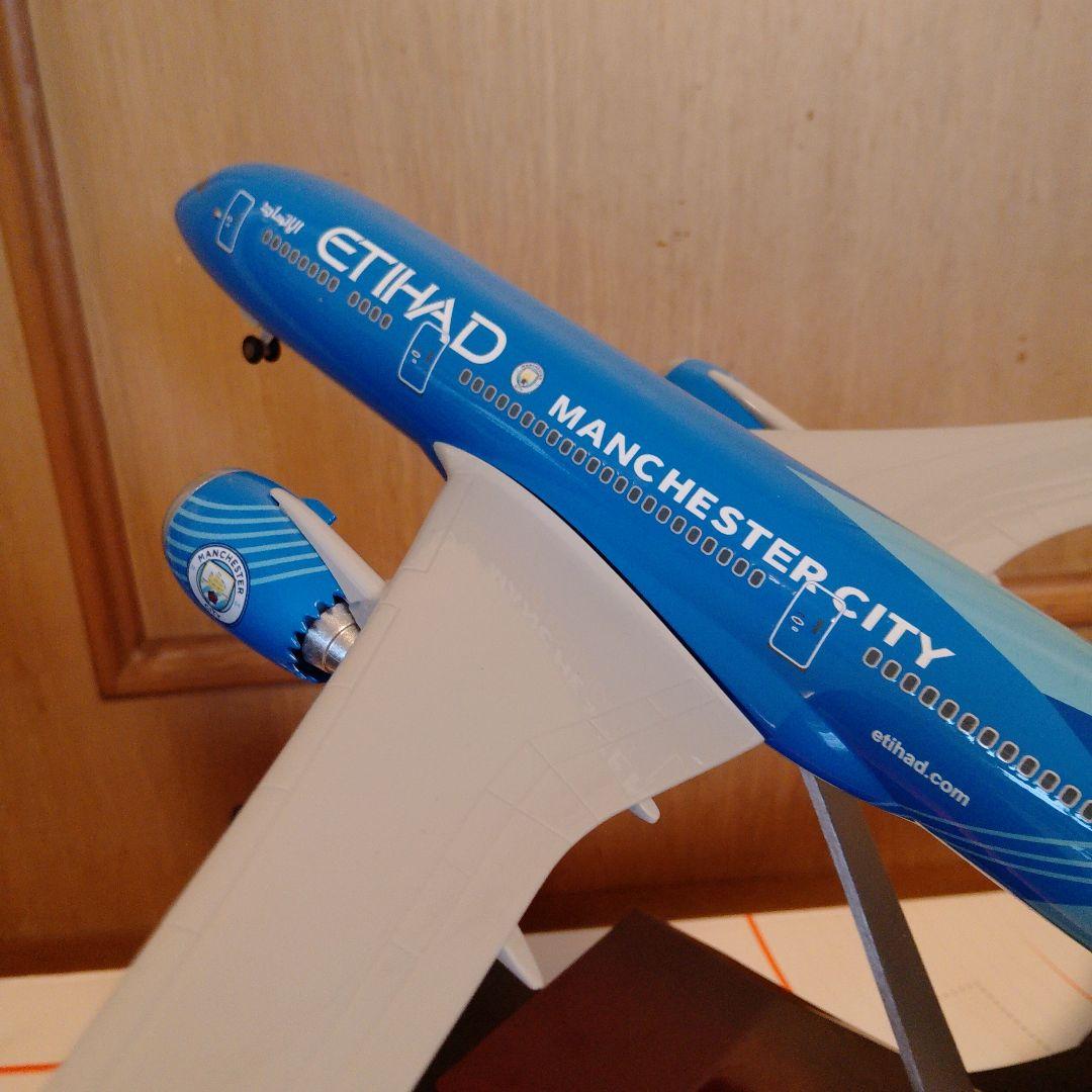 はるぽよさん専用 B787 マンチェスターシティー2