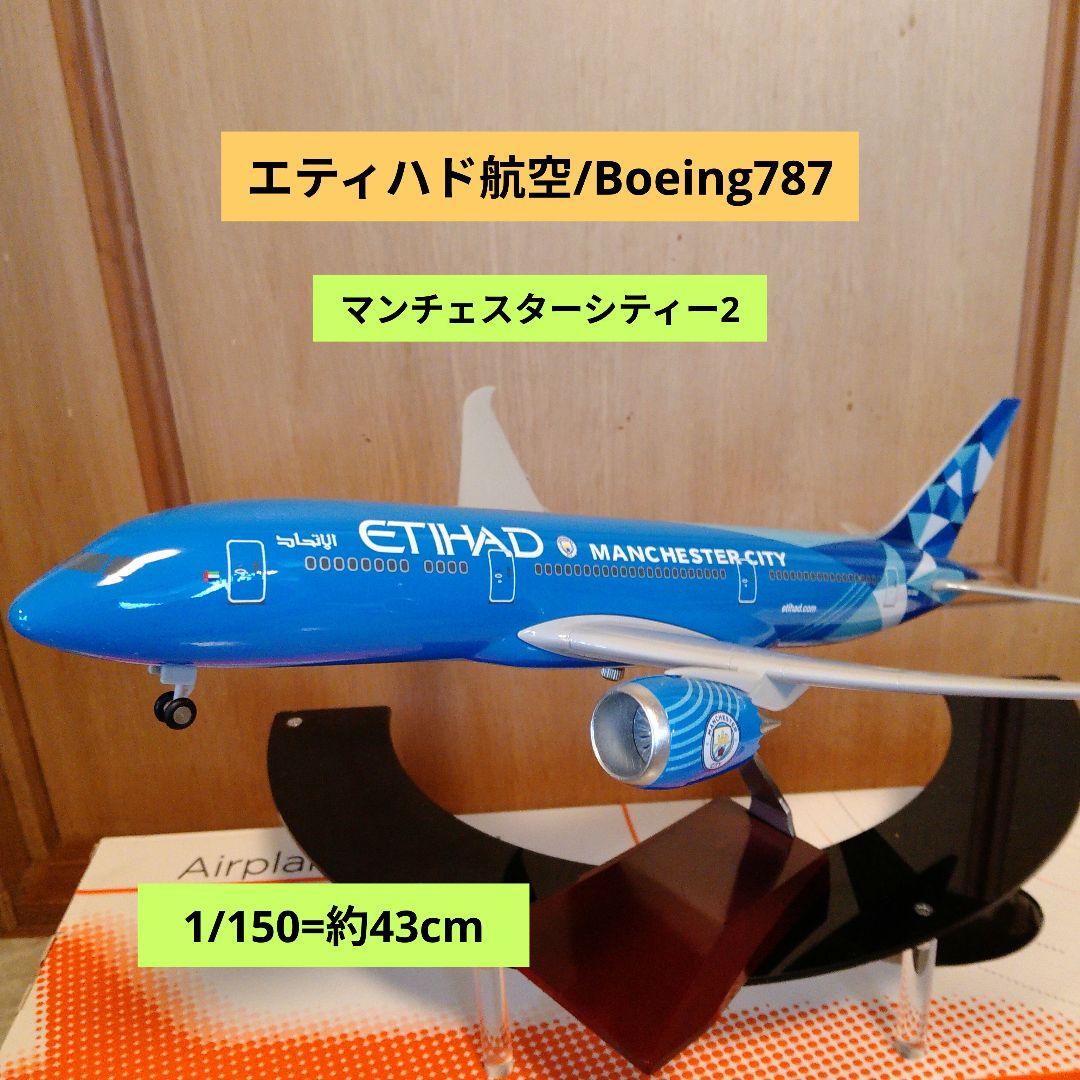 はるぽよさん専用 B787 マンチェスターシティー2