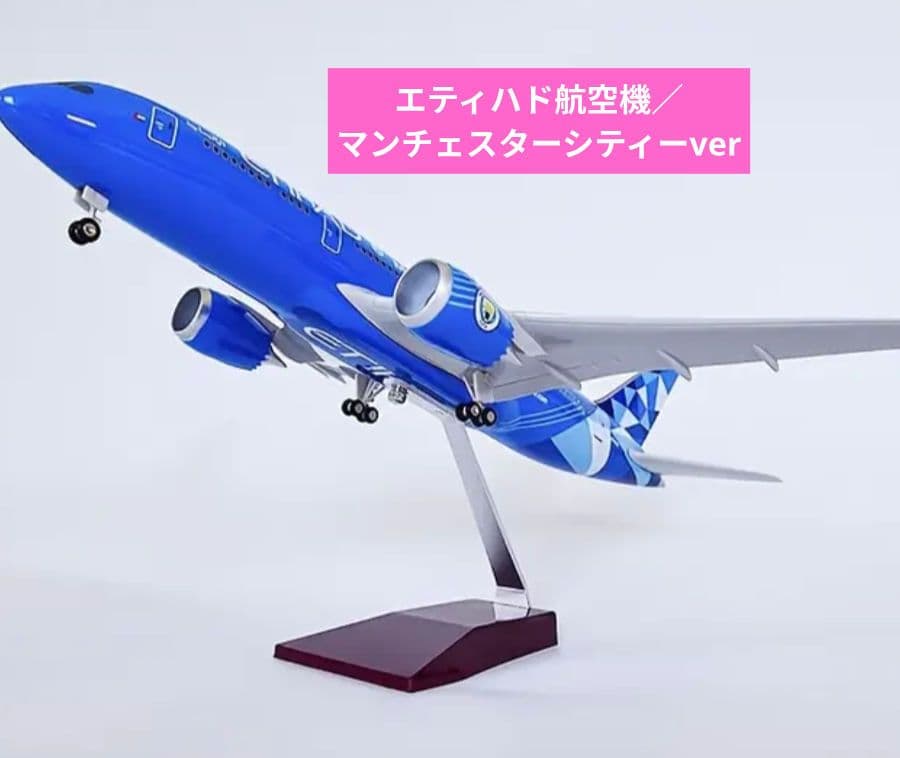 はるぽよさん専用 B787 マンチェスターシティー2