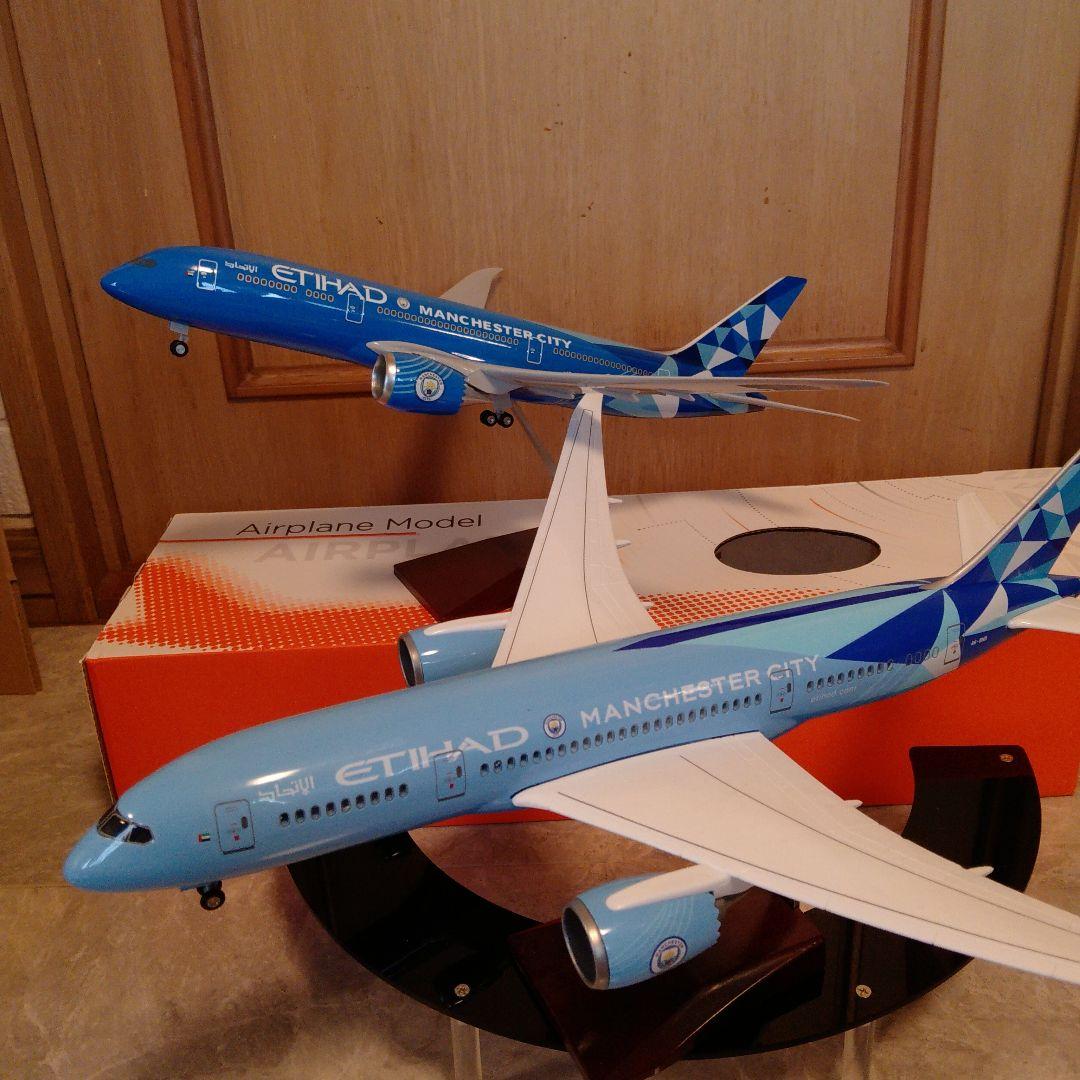 はるぽよさん専用 B787 マンチェスターシティー2