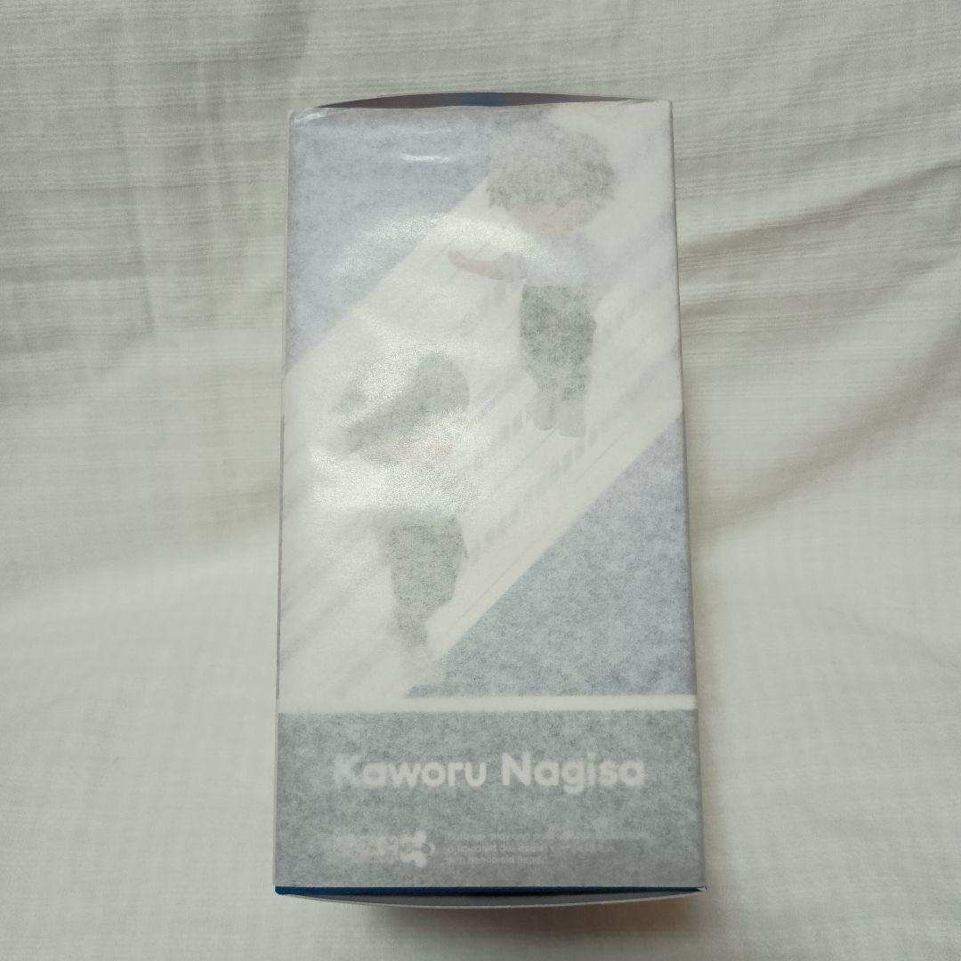 ねんどろいどどーる ヱヴァンゲリヲン新劇場版 渚カヲル＆碇シンジセット