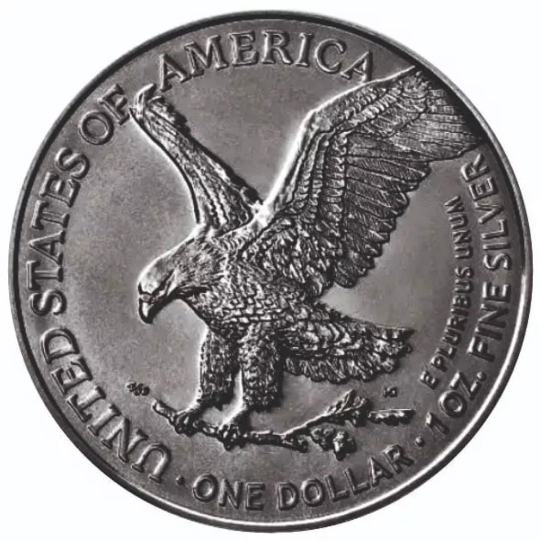【200枚限定】アメリカ イーグル銀貨 カラーアンティーク仕上げ 女性スケルトン