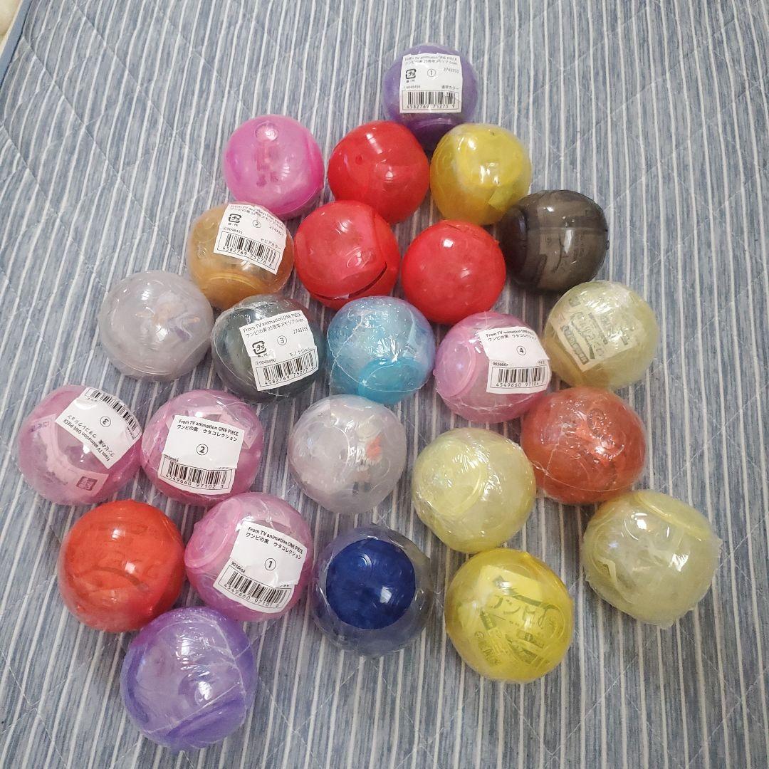 ワンピの実24点