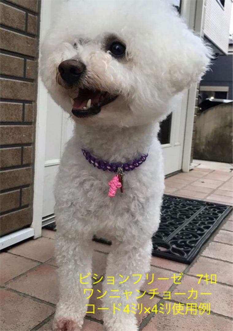 ワンニャンチョーカー☆首回り約31～33cm