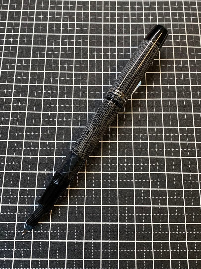 Pelikan M101N Lizard 万年筆　字幅M
