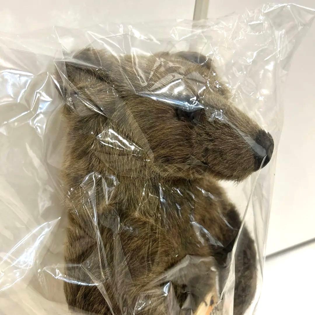 【期間限定値下げ】ケーセン くま Sサイズ KOSEN 熊 ぬいぐるみ ドイツ製