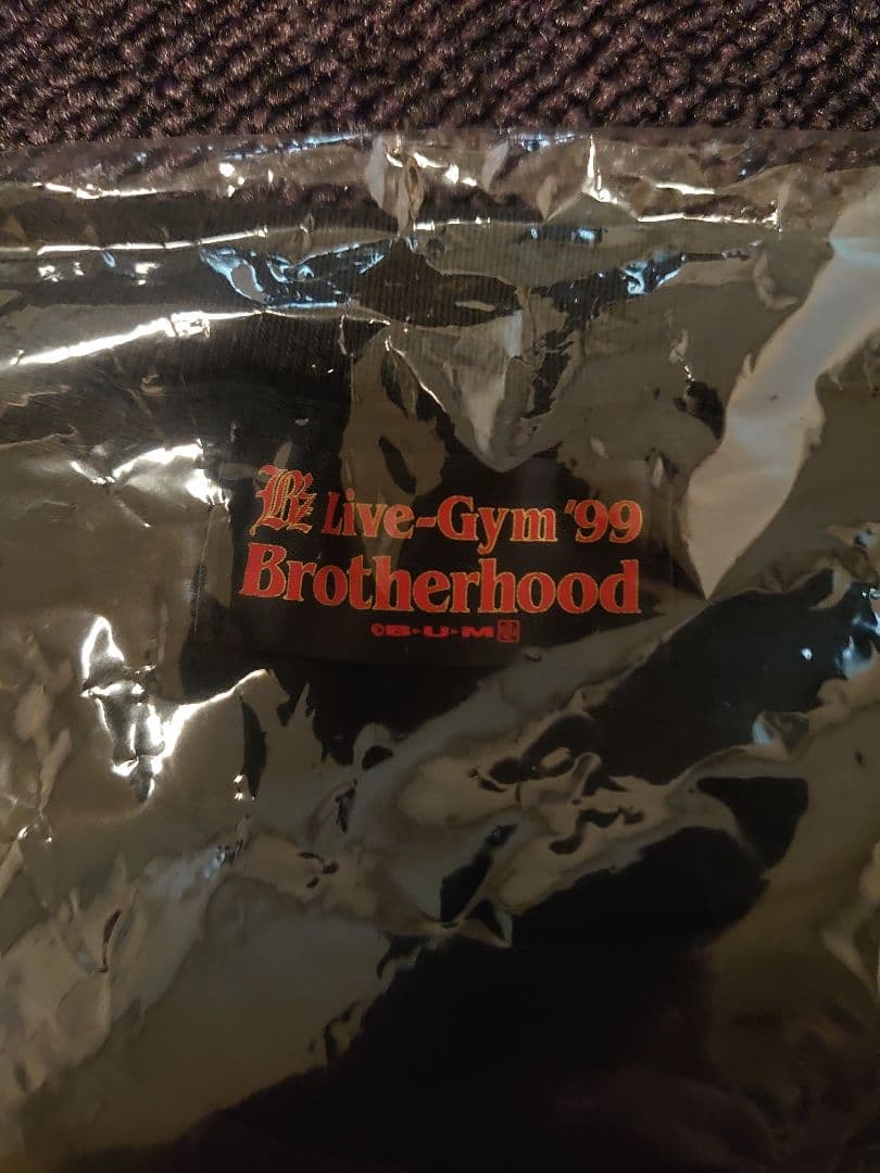 b'z brotherhood tシャツ 稲葉浩志 松本孝弘