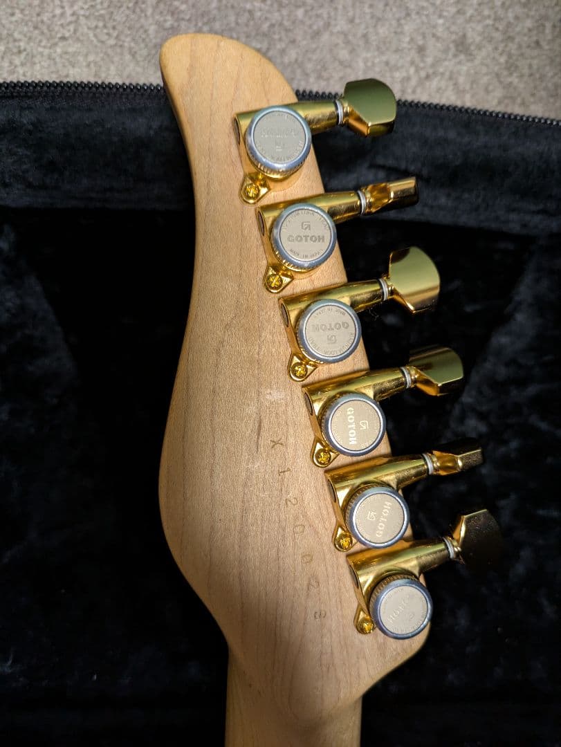 ギター Dragonfly HI STA Full Size 666