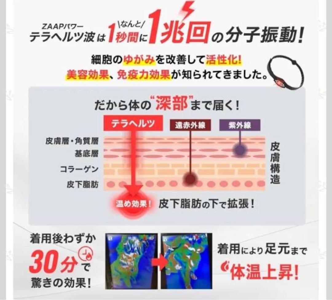 ZAAP Pemily 医療機器搭載　ペット用ネックレス　首輪