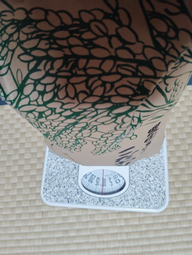 信州産コシヒカリ10㎏(精米済・令和6年収獲) タケノコご飯用筍3本付き