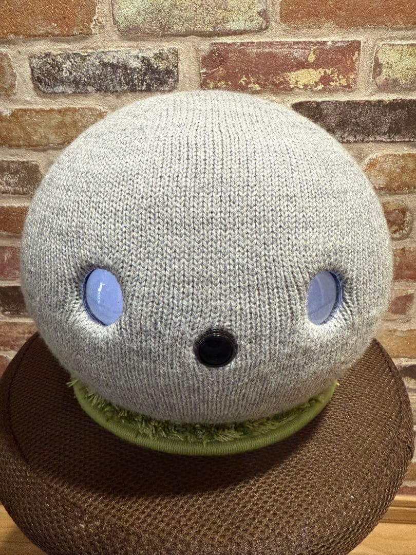 Panasonic NICOBO ニコボ ロボット