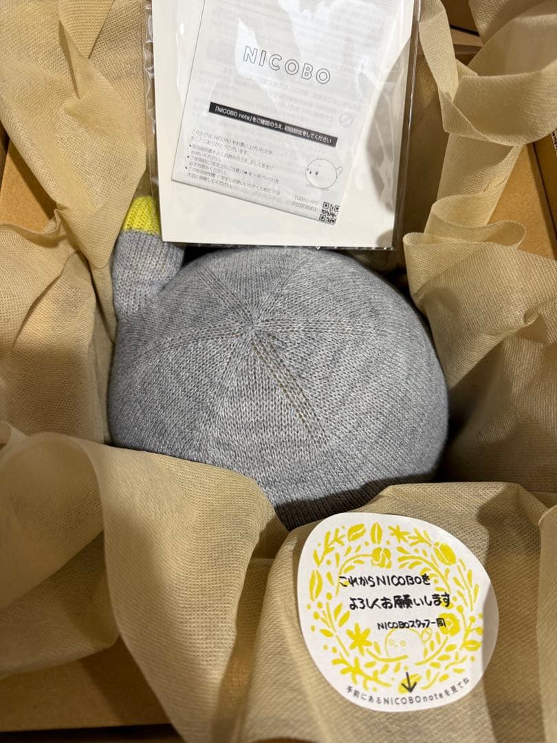 Panasonic NICOBO ニコボ ロボット