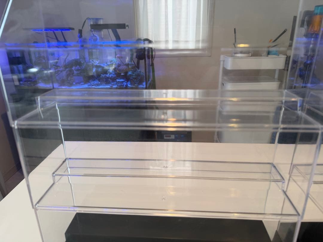 3段コレクションボックス4個セット、２段BOX２５個セット