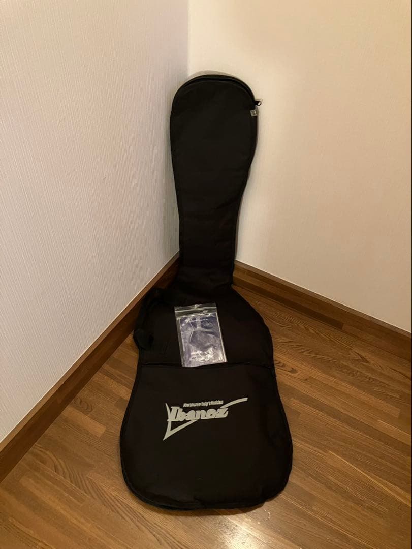 Ibanez アイバニーズ Gio GSR320 MRS 改造品 ケース付き