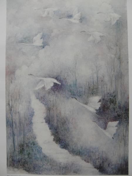 ナンシー ガン、「Trumpeter Swan（白鳥）」、★極希少画集★