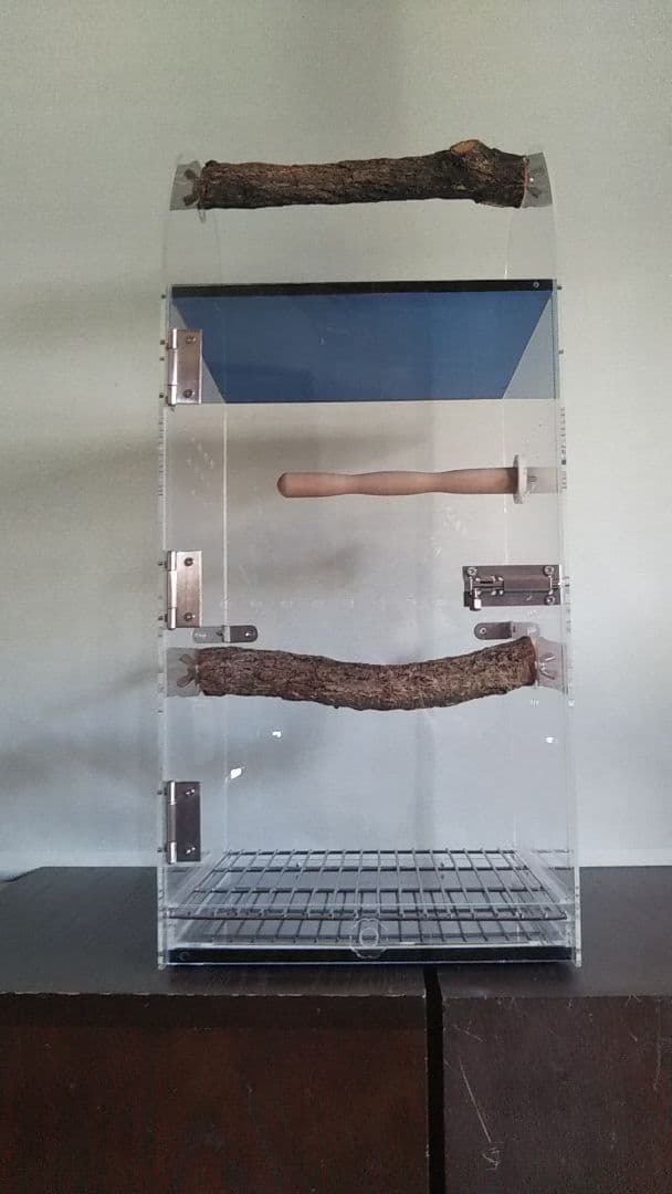 アクリル製キャリーケース L　大型インコ、オウム　バードモア