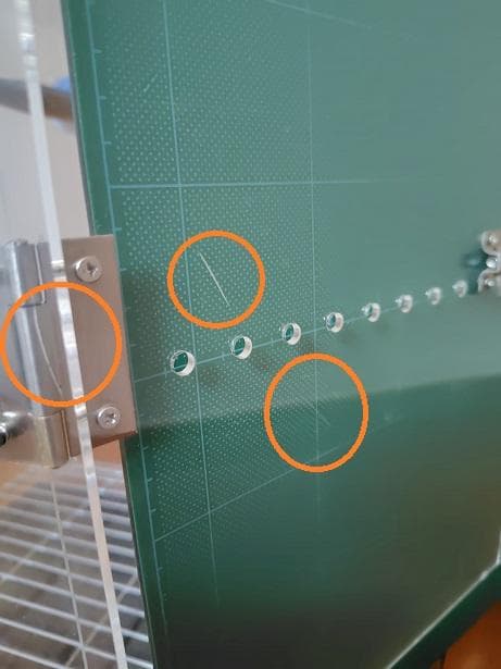 アクリル製キャリーケース L　大型インコ、オウム　バードモア