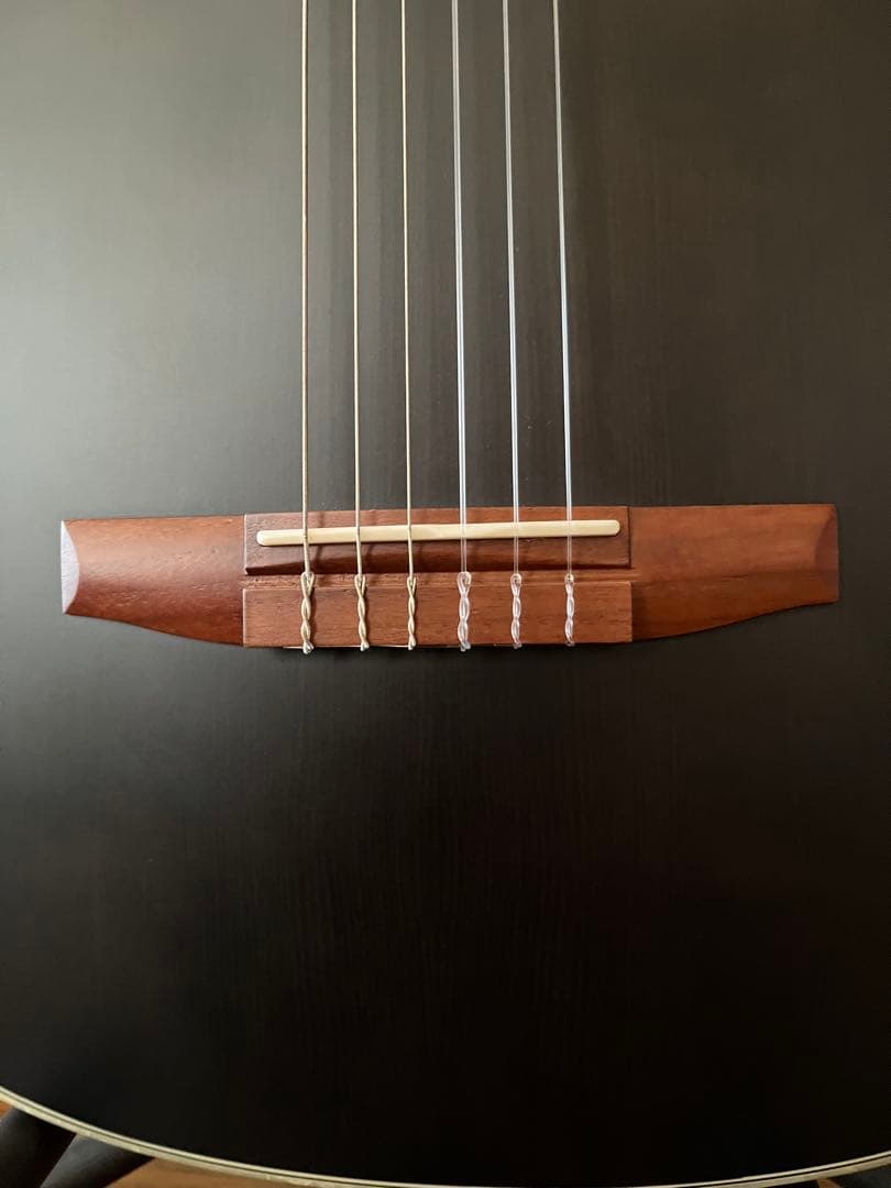 Ibanez TOD10N（Tim Henson シグネチャー / ナイロン）