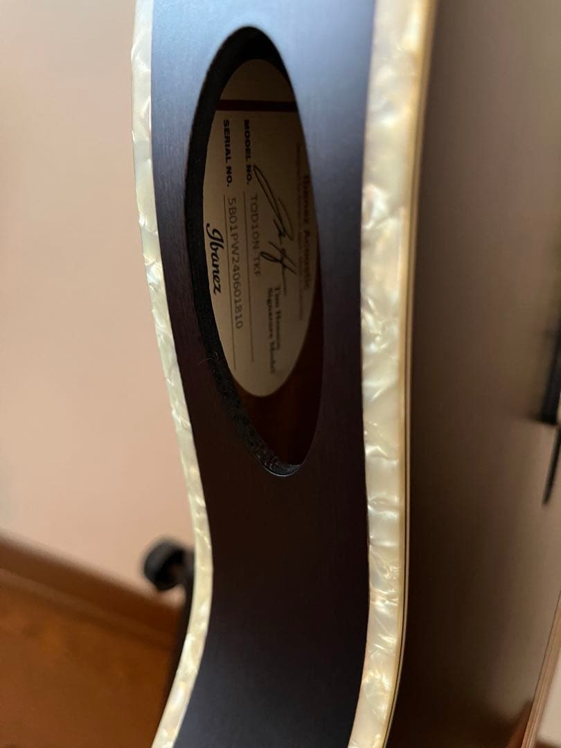 Ibanez TOD10N（Tim Henson シグネチャー / ナイロン）