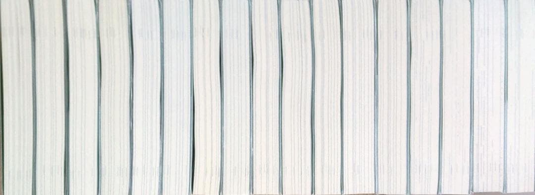 とんでもスキルで異世界放浪メシ　小説　1-17巻　全巻セット　送料込み