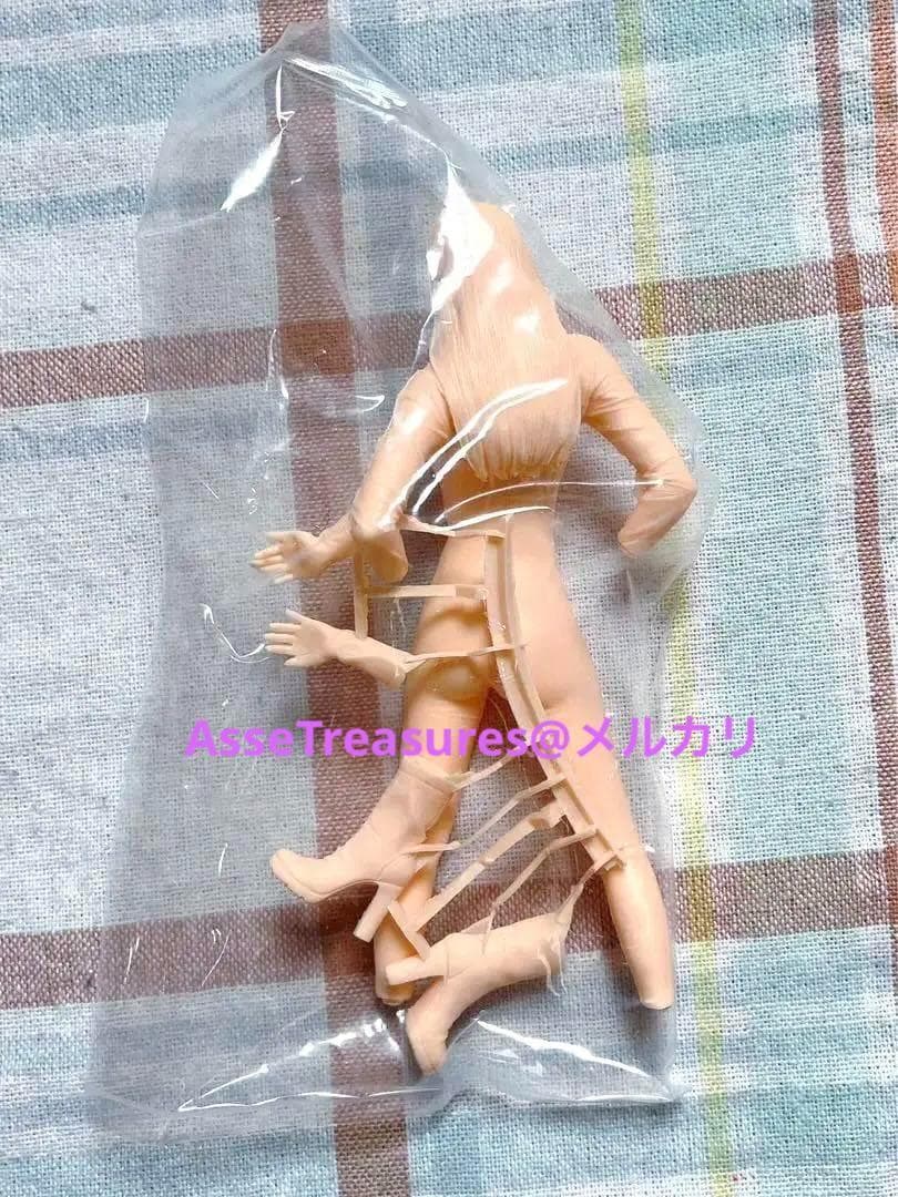 限定品 ハセガワ 1/12 ガールライダー2 フィギュア