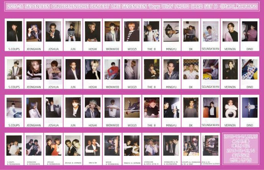 SEVENTEEN セブチ　アンコン　チェキ　B